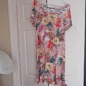 Spense Floral Multicolor Dress
